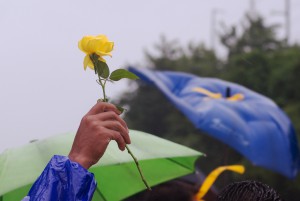 A Flower For Cory