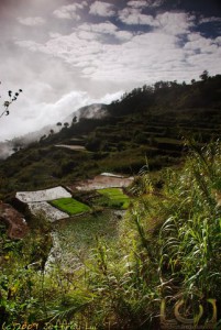 Morning Mist at the Rice Terraces