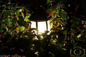 Garden Lamp