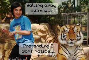 Jeff: Walking away quietly... Tiger: Pretending I don't notice...